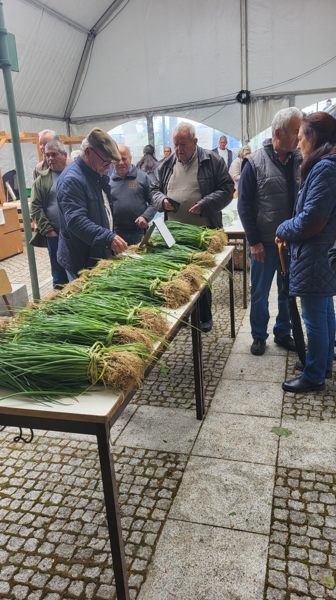 III Feira do Cebolo - Grijó 2025