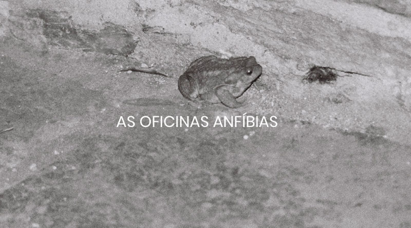 Oficinas Anfíbias
