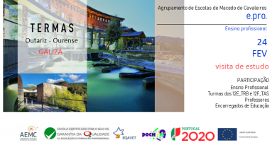 Visita de estudo a Ourense