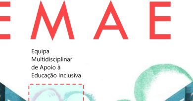 Newsletter EMAEI
